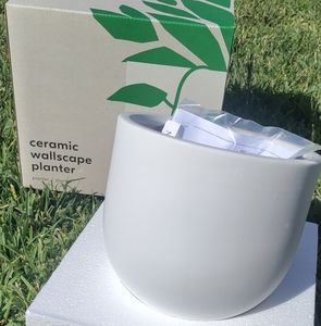 West elm ceramic wallscape planter